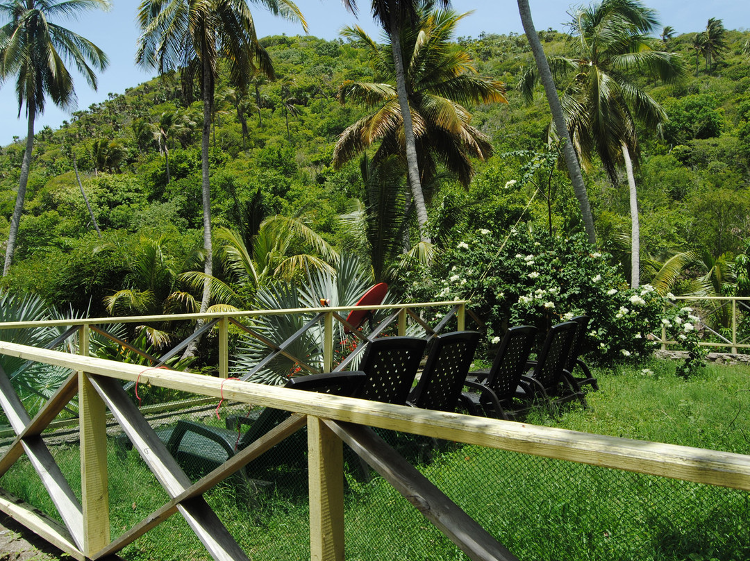 Hotel Yellow Home Providence Island主图