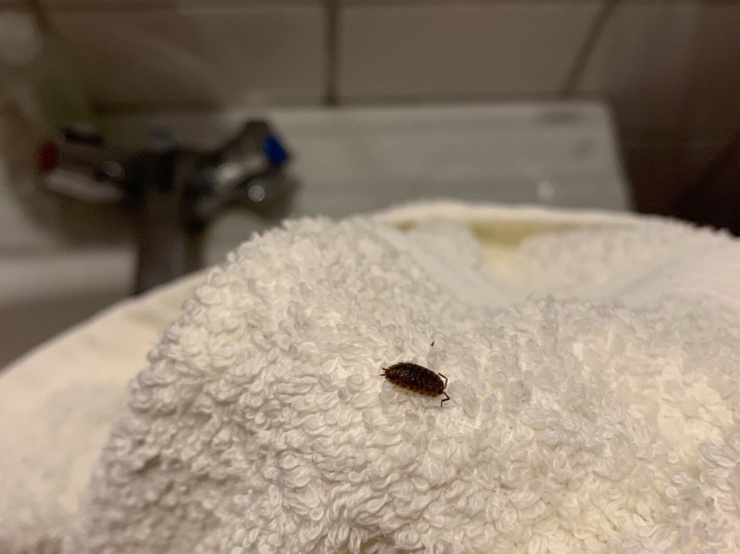 GæstGiverGården (tidl. Lindelse Kro og Hotel)主图