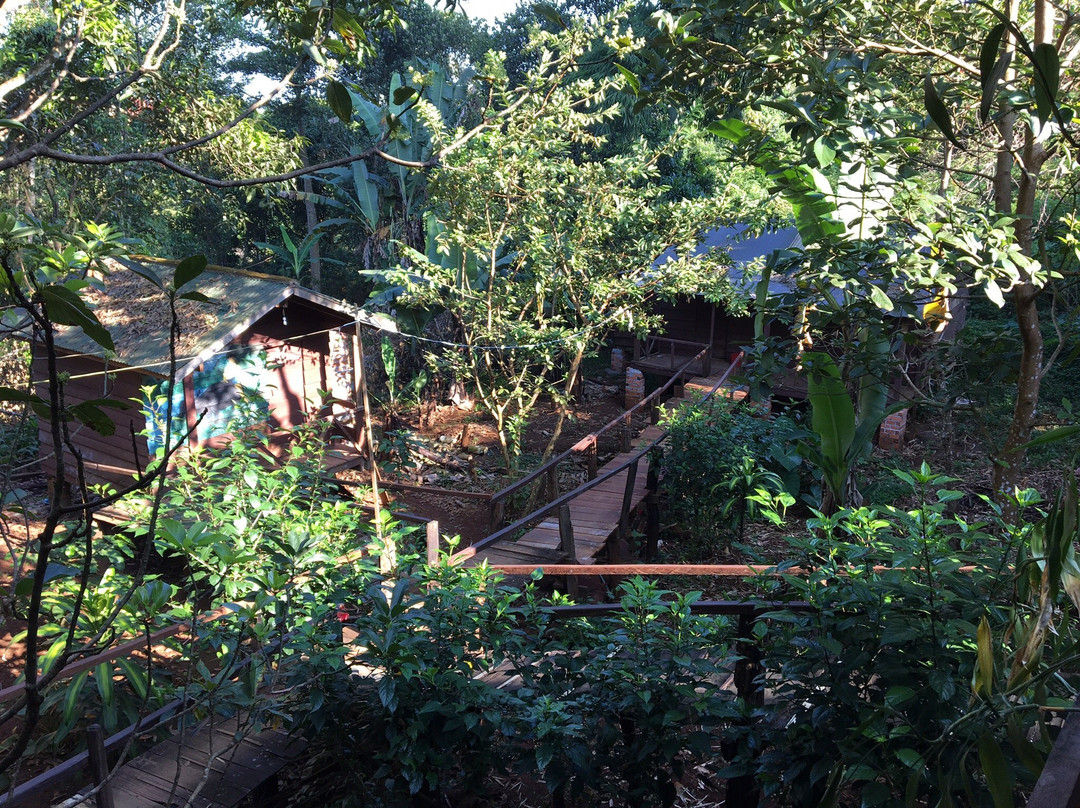 快乐大象山林小屋主图