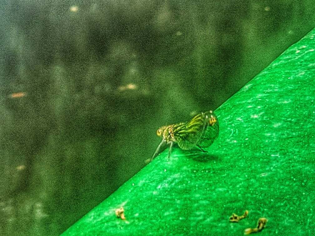 Kitty-沃金必去景点