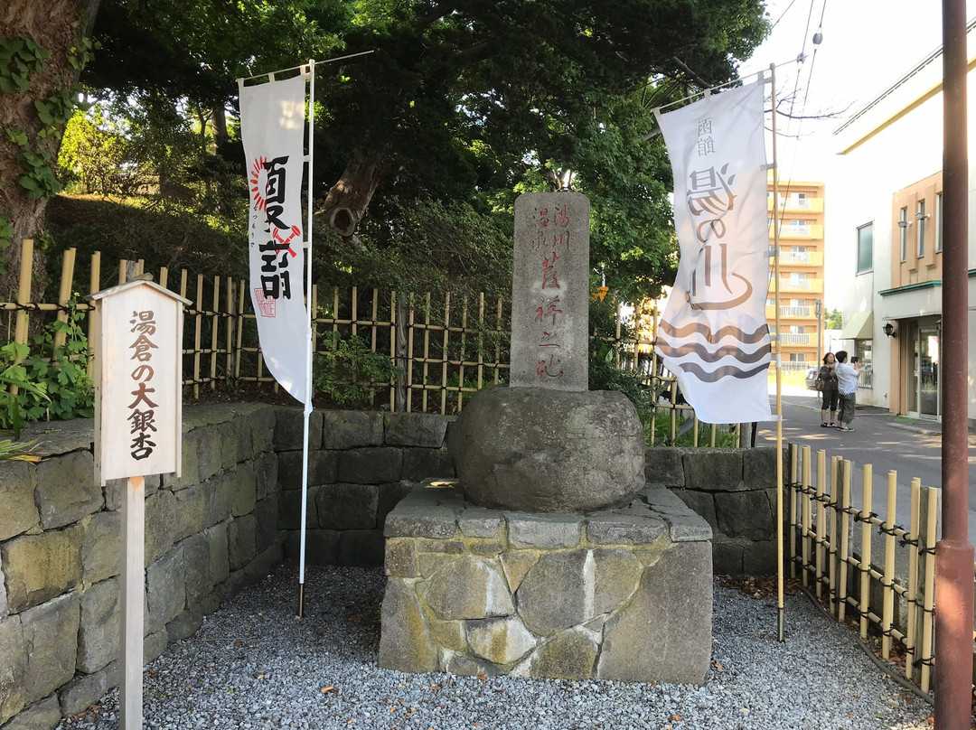 The Birthplace of Yunokawa Hot Springs景点图片