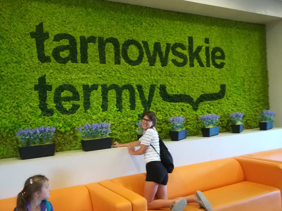 Tarnowskie Termy景点图片