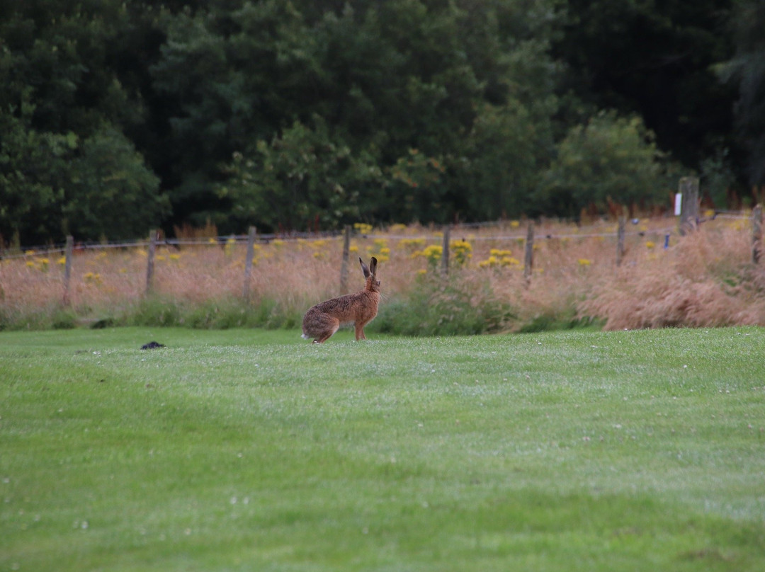 Fairways Loch Ness Golf Course-因弗内斯必去景点
