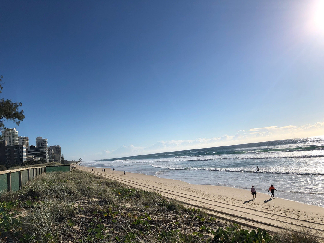 Narrow Neck Beach景点图片