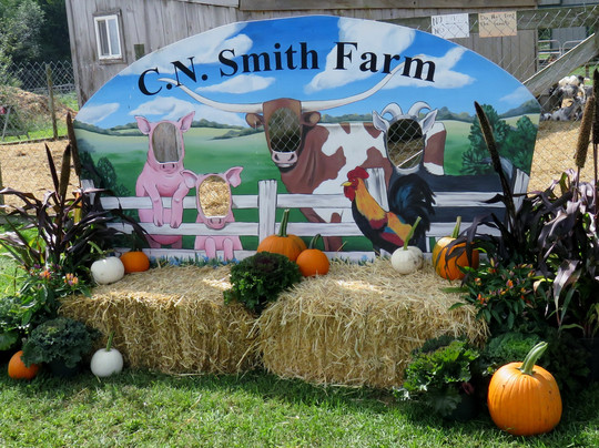 C. N. Smith Farm-East Bridgewater必去景点