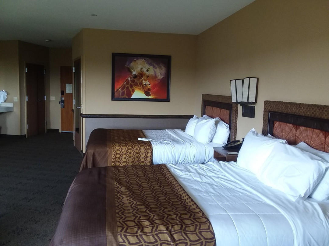 Kalahari Resorts景点图片