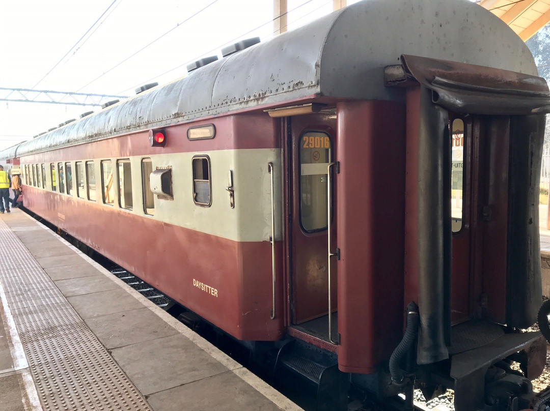 Reefsteamers-Magaliesburg必去景点