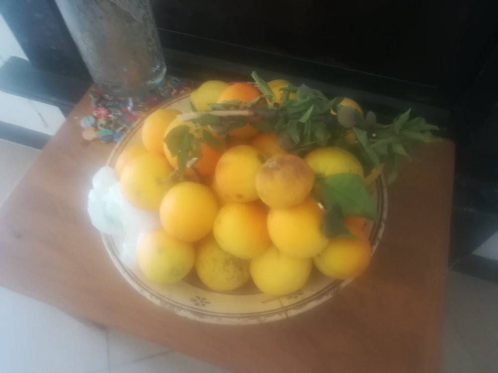 Da Stefano