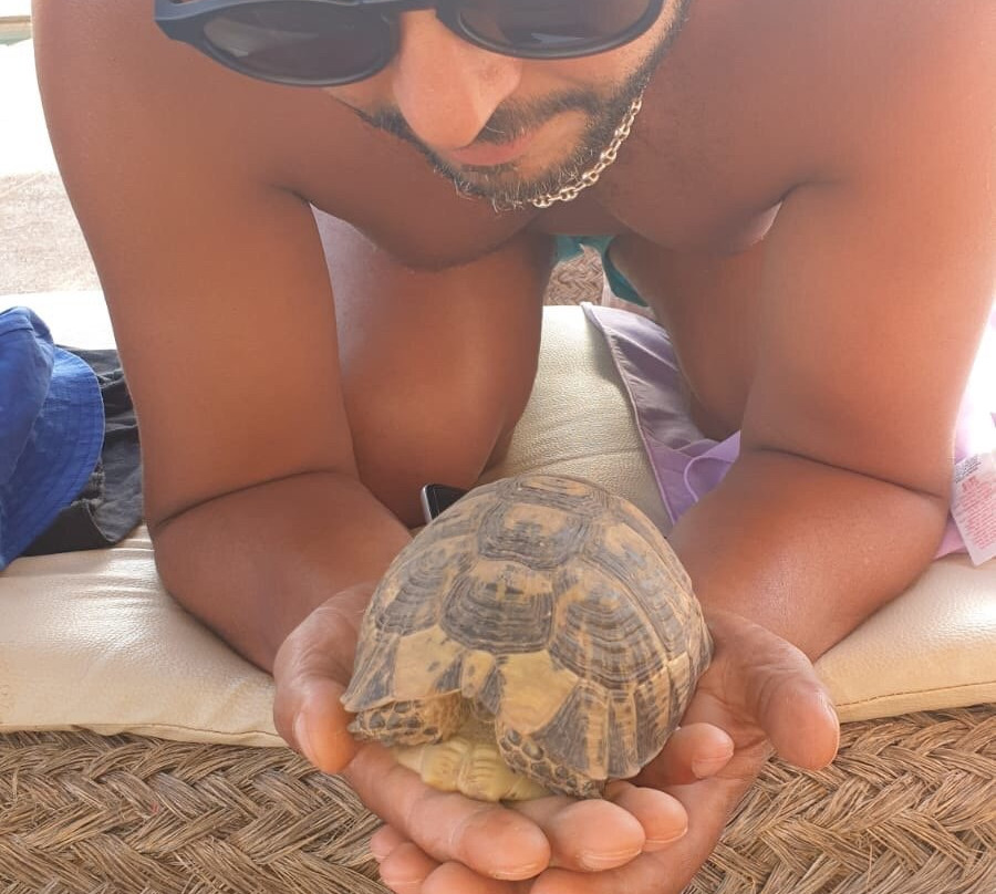 Parfums d'étoiles主图