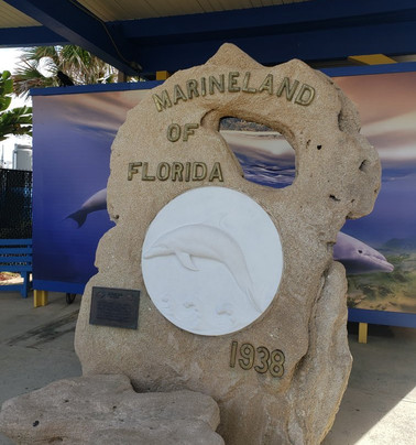 Marineland Marina-圣奥古斯丁必去景点