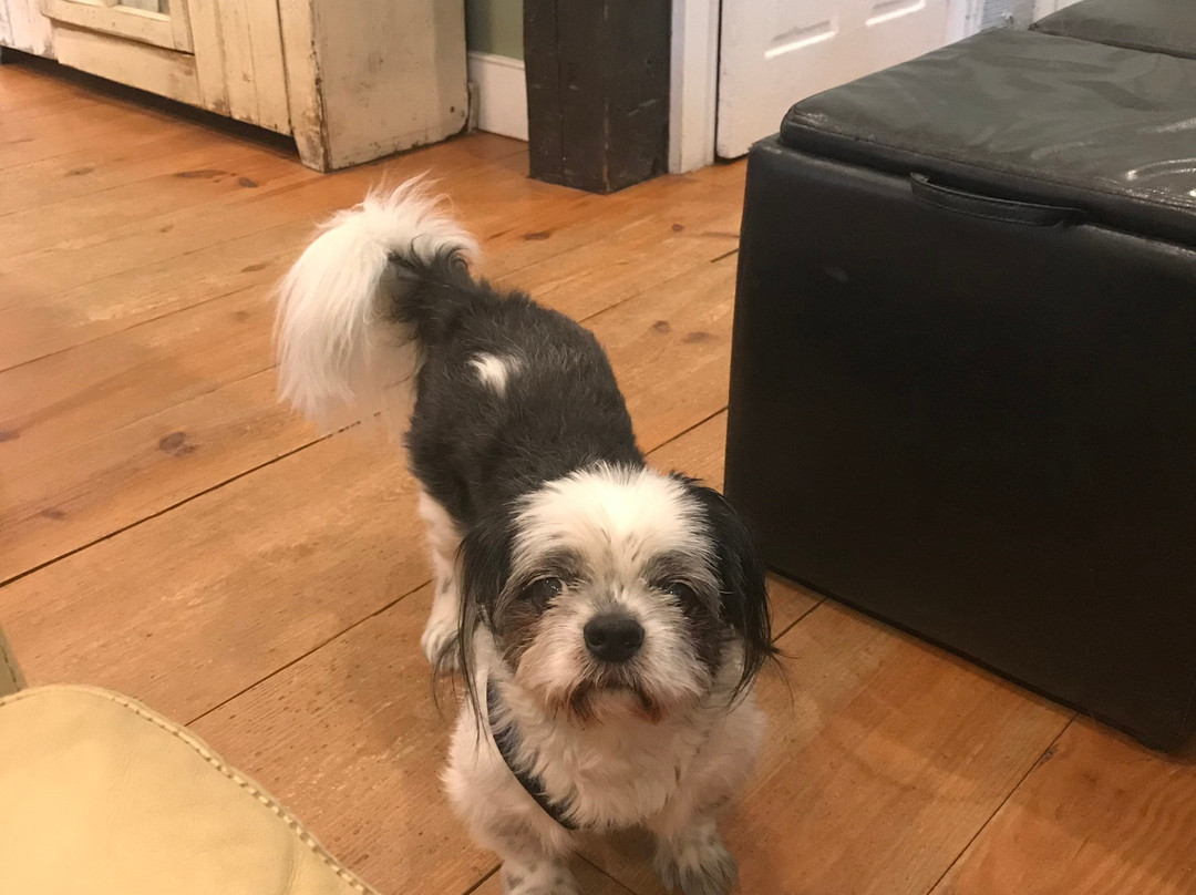 Green Acres Bed and Breakfast主图