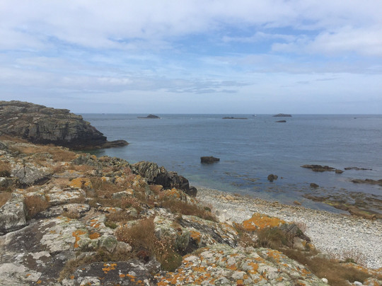 Ile Molene旅游攻略图片