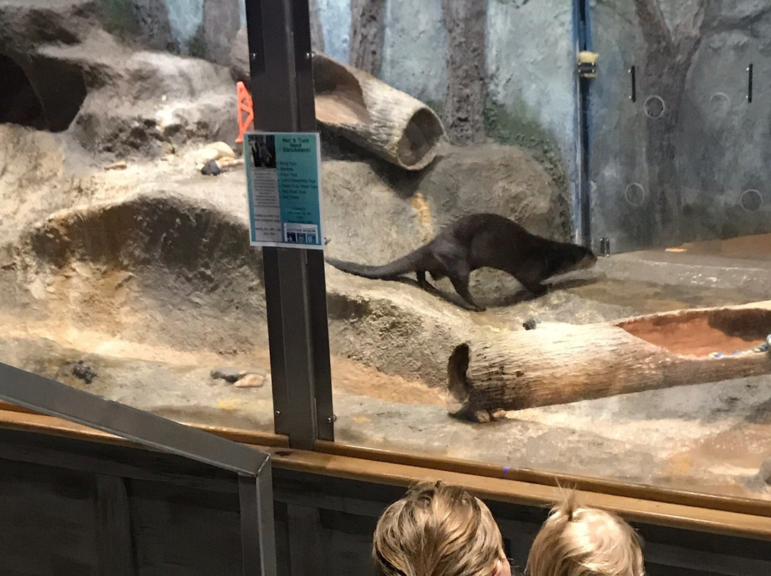 Delmarva Discovery Museum-Pocomoke City必去景点