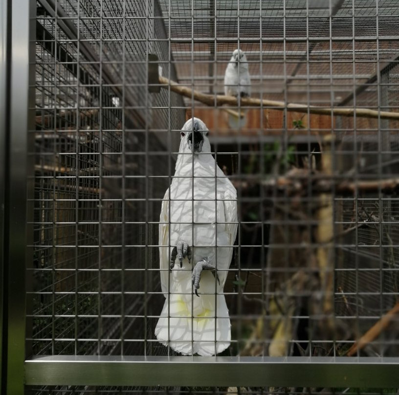 Papousci Zoo-Bosovice必去景点