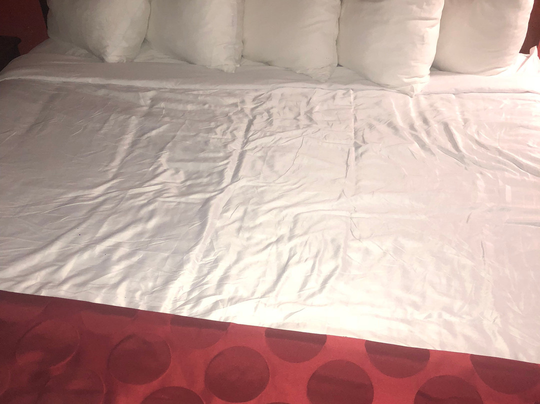 Ramada Limited Decatur主图