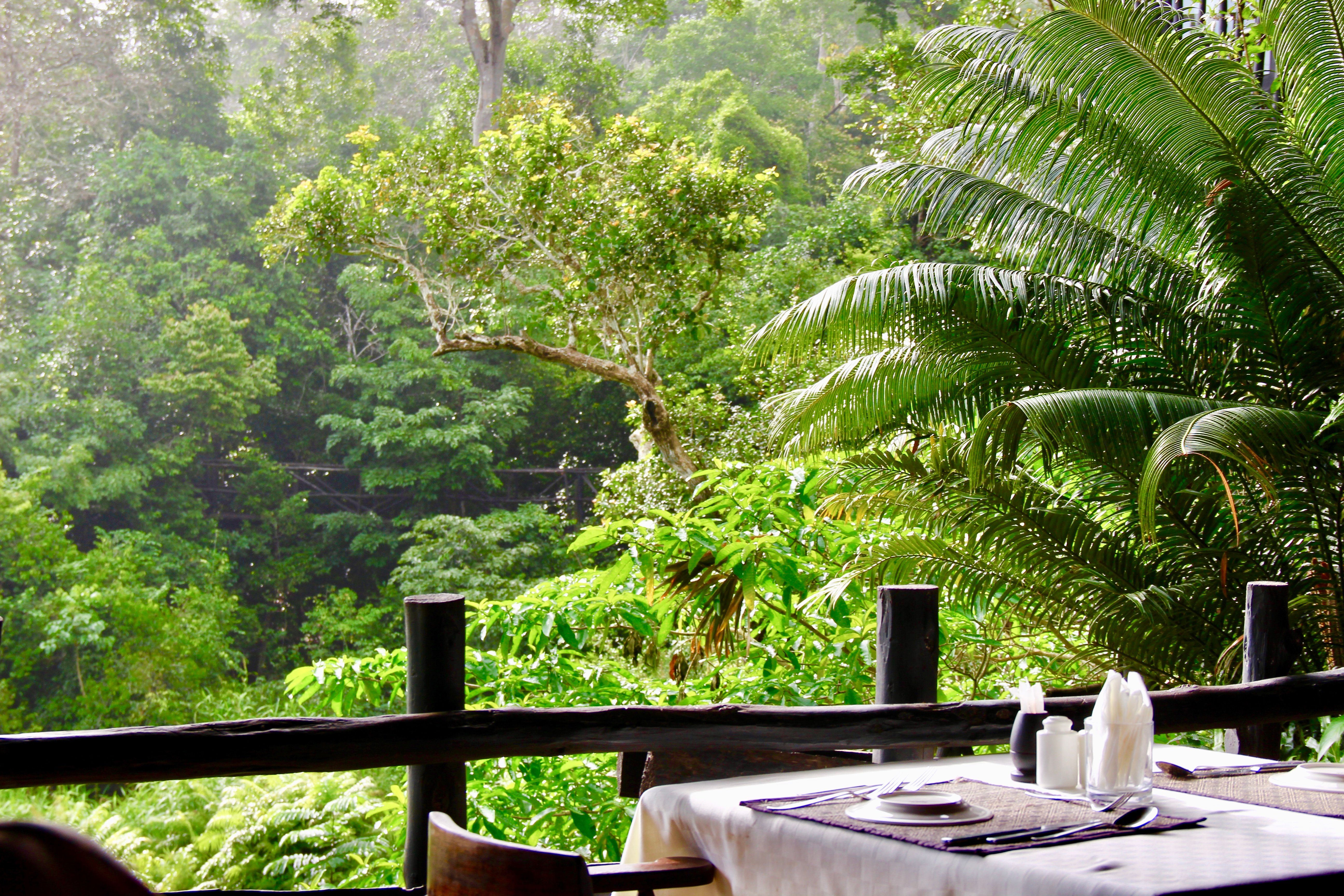 Shimba Hills Lodge-餐饮