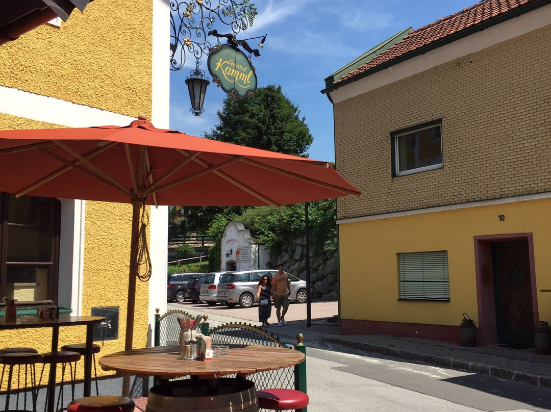 Hotel Gasthof Kamml主图