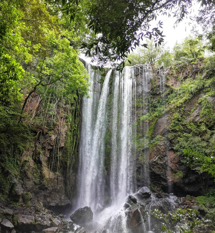 Bongo Outdoors Tours景点图片