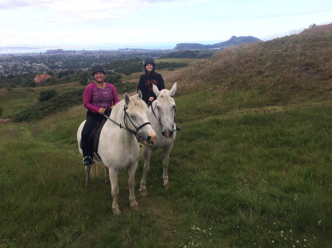 Tower Farm Riding Stables-爱丁堡必去景点