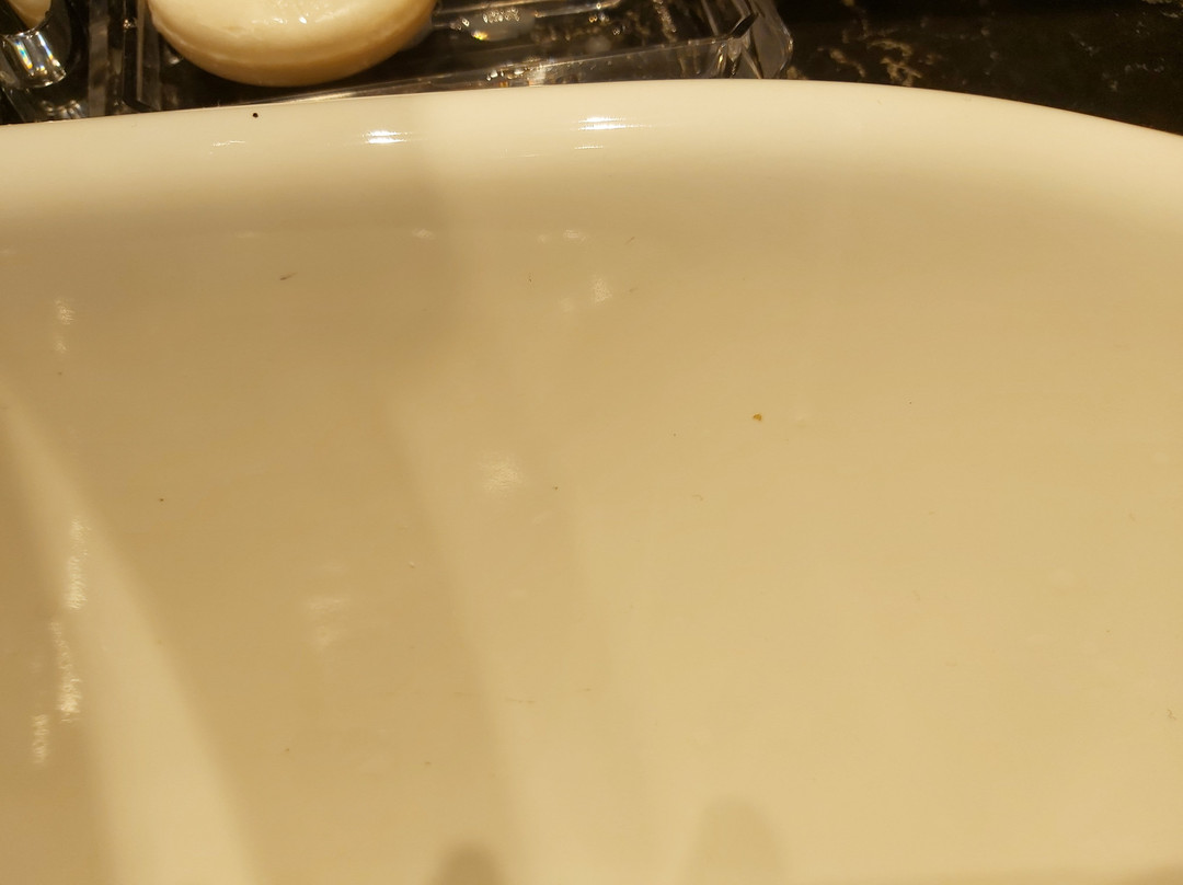 Publica Isrotel, Autograph Collection主图