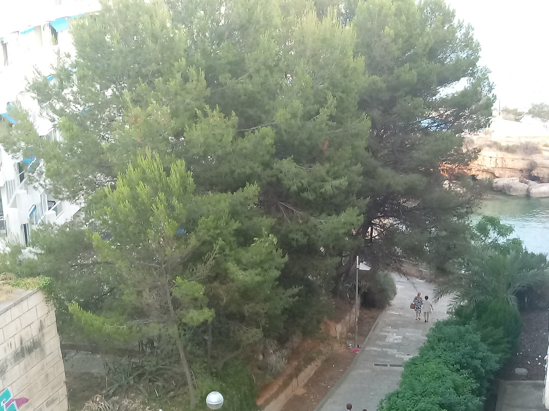 TRH Jardin del Mar主图