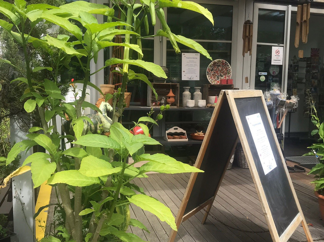 Hortus Alkmaar景点图片