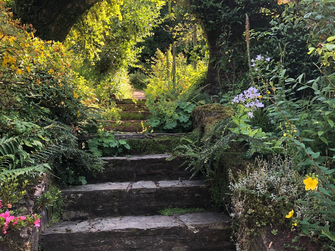 Greencombe Gardens景点图片