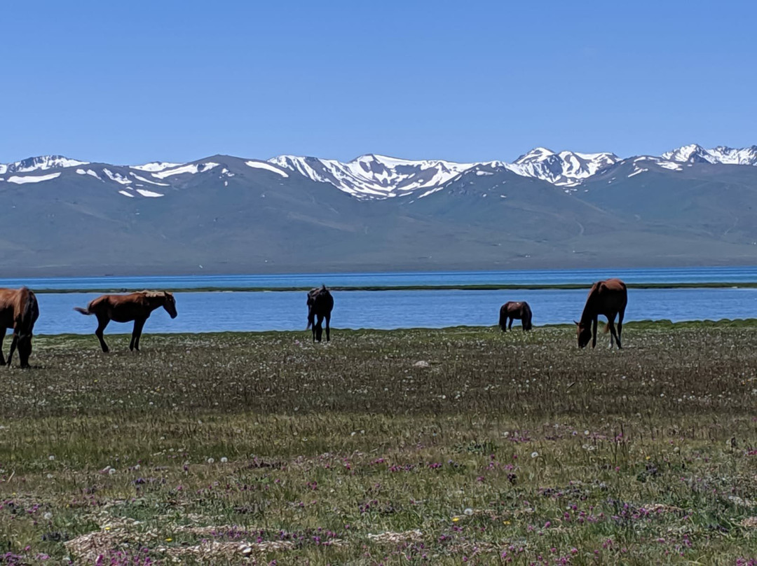 Taigan Expeditions-比斯凯克必去景点