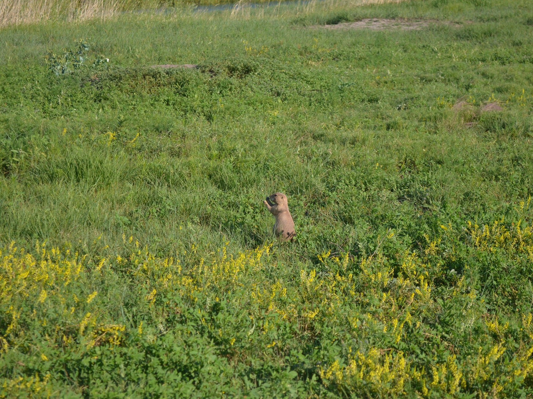 Fort Niobrara National Wildlife Refuge-Valentine必去景点