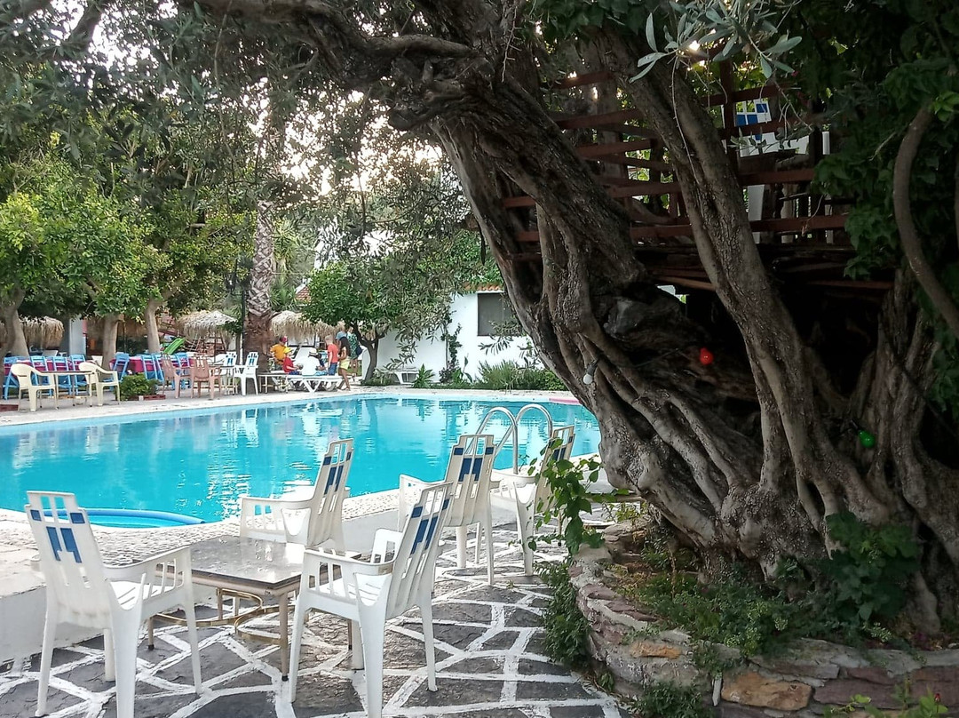 Oasis Hotel Bungalows主图