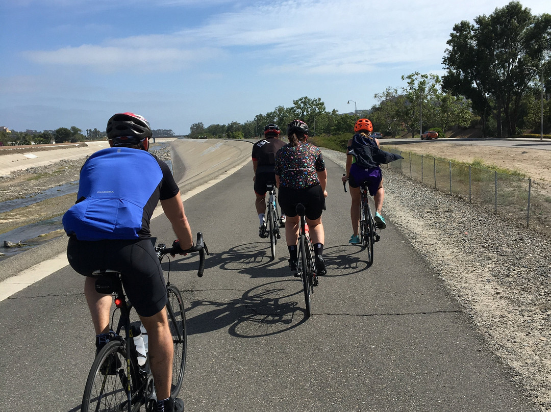 Synaptic Cycles Bicycle Rentals-德纳角必去景点