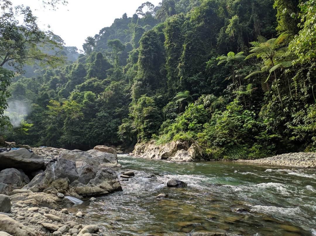 Sumatra Orangutan Tour-棉兰必去景点