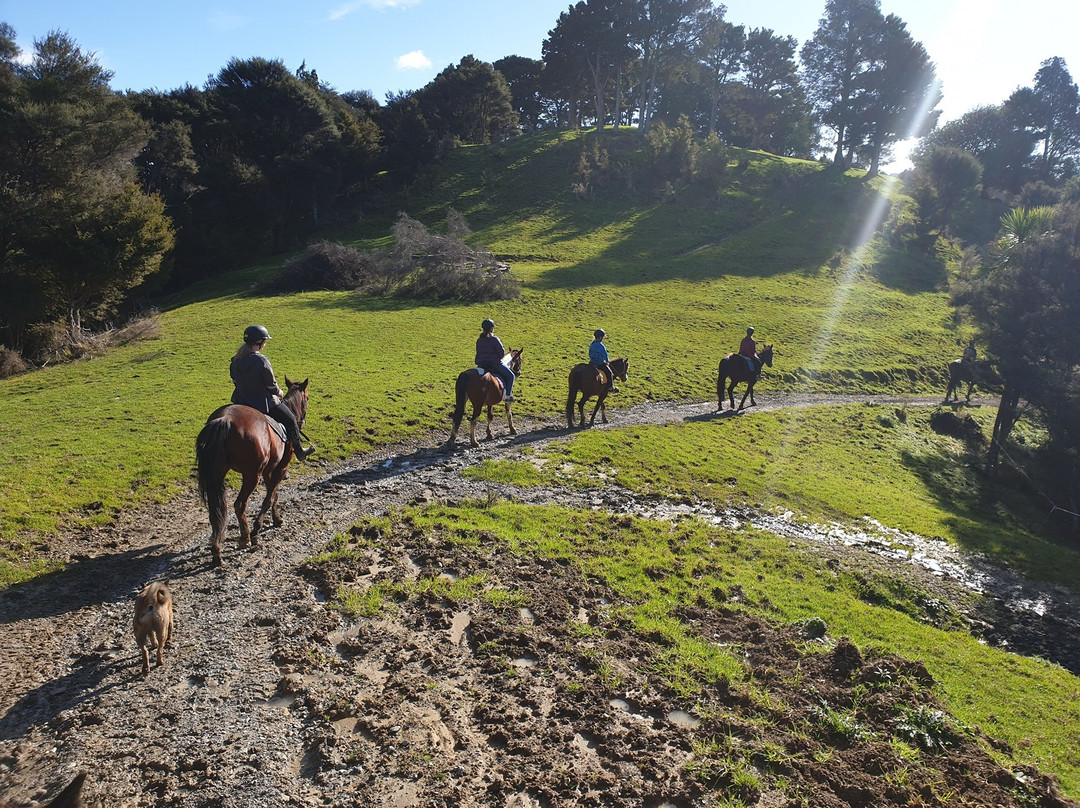 Ti Tree Horse Treks-怀韦拉必去景点