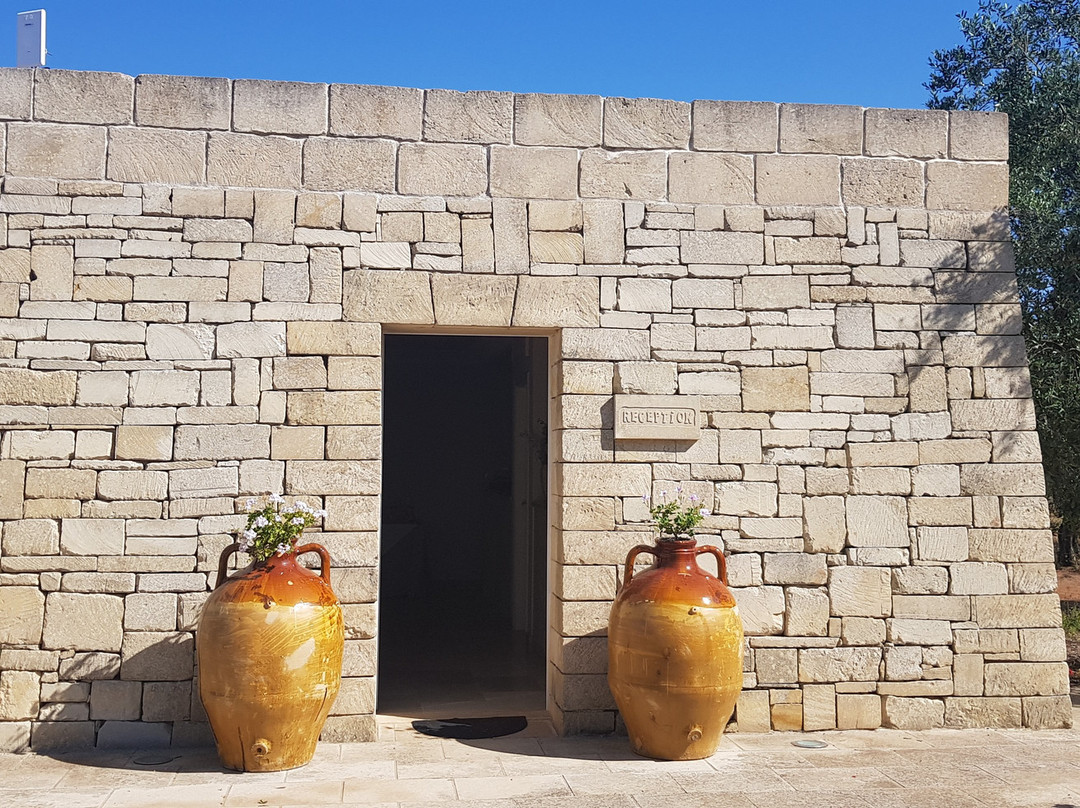 特鲁塔皮里阿诺酒店主图