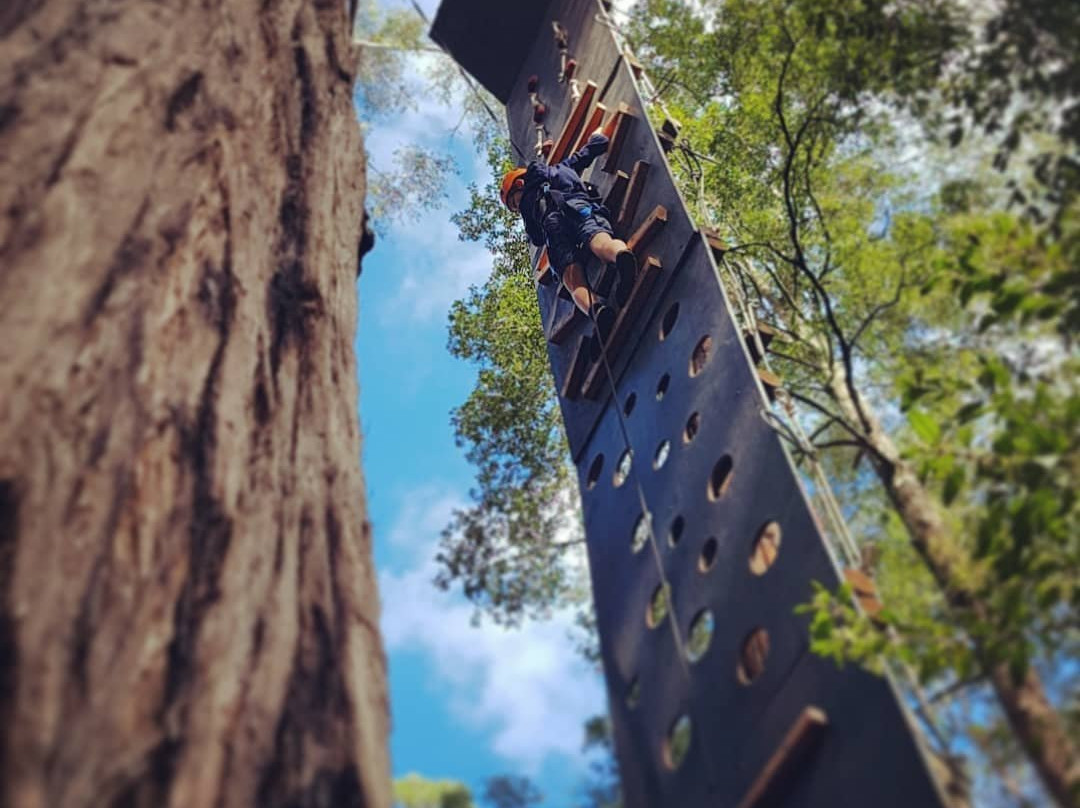 TreeTops Central Coast景点图片