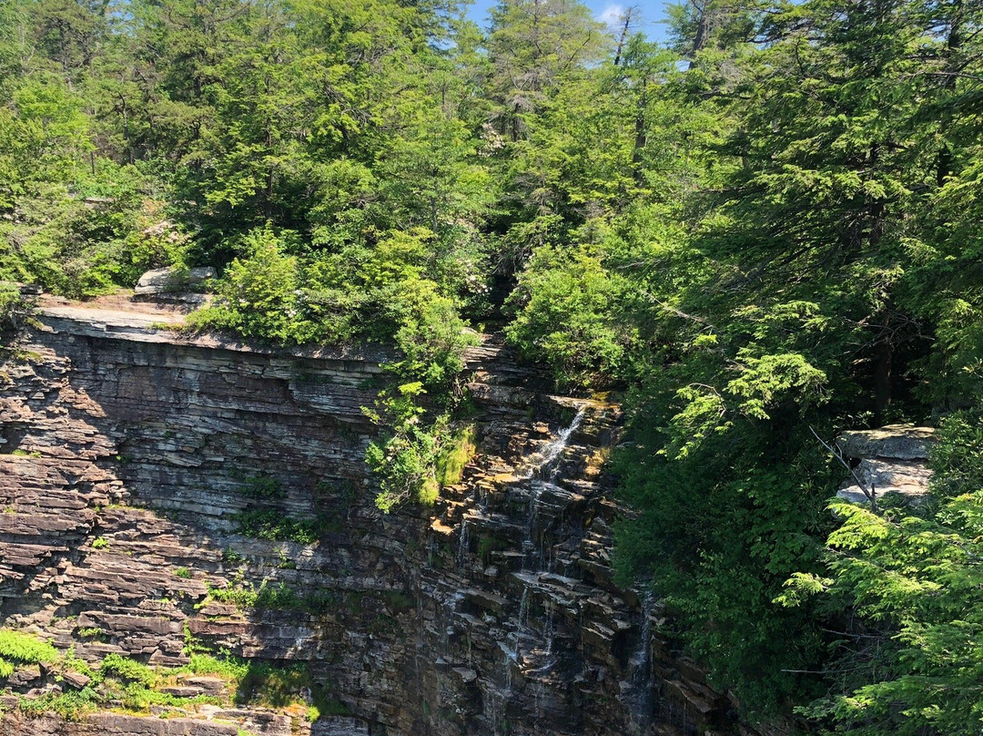 VerKeerderkill Falls景点图片