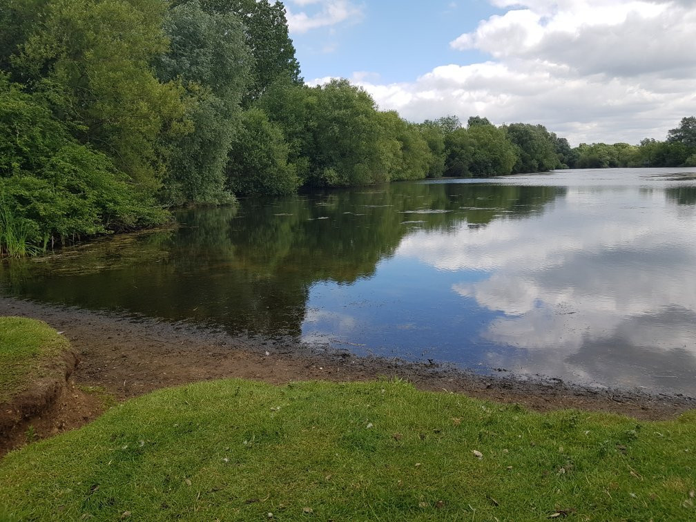 Emberton Country Park景点图片