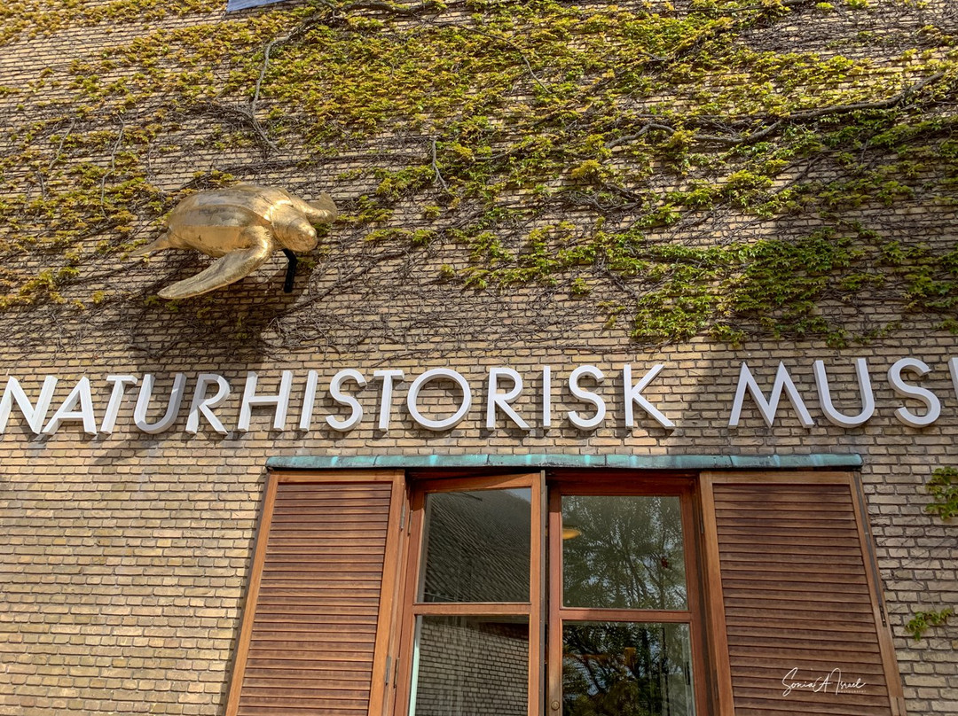 Aarhus Universitet-欧胡斯必去景点