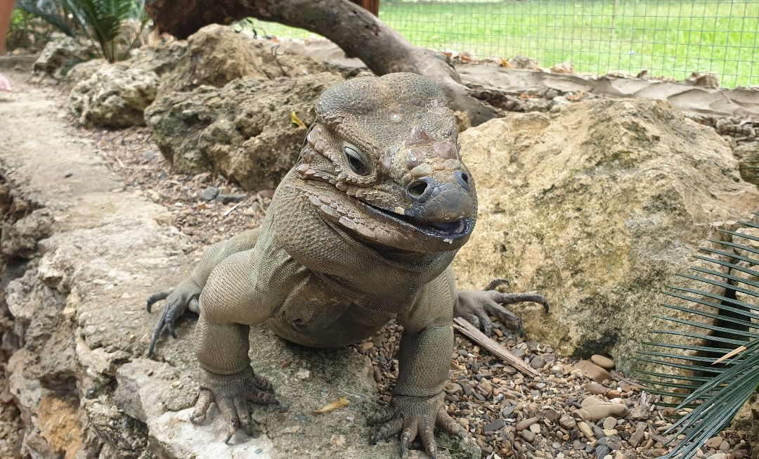 Tanama Jungle Ranch-拉罗马纳必去景点