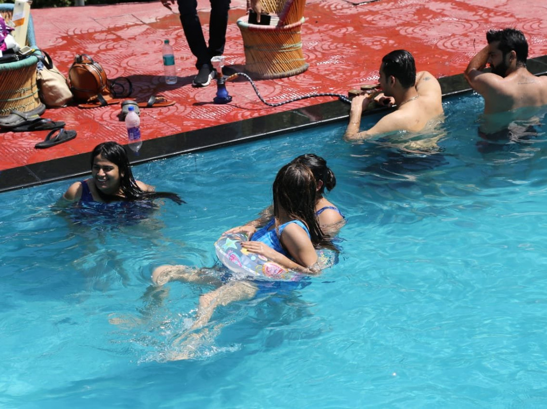 The Jungle Pool主图