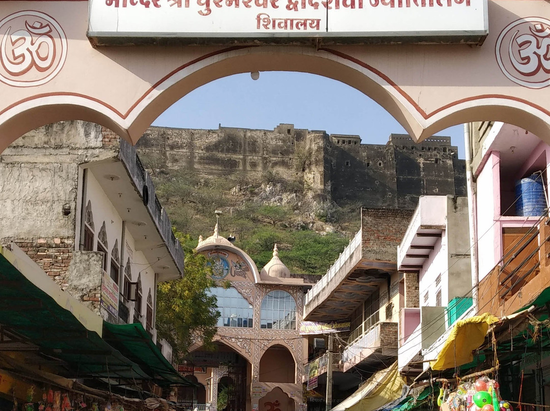 Shree Gushmeshwar Jyotirling Temple Shivad景点图片