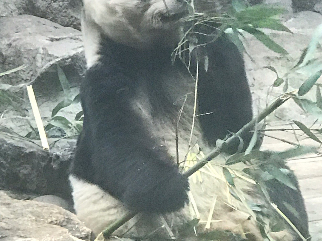 北京濒危动物中心-北京市必去景点
