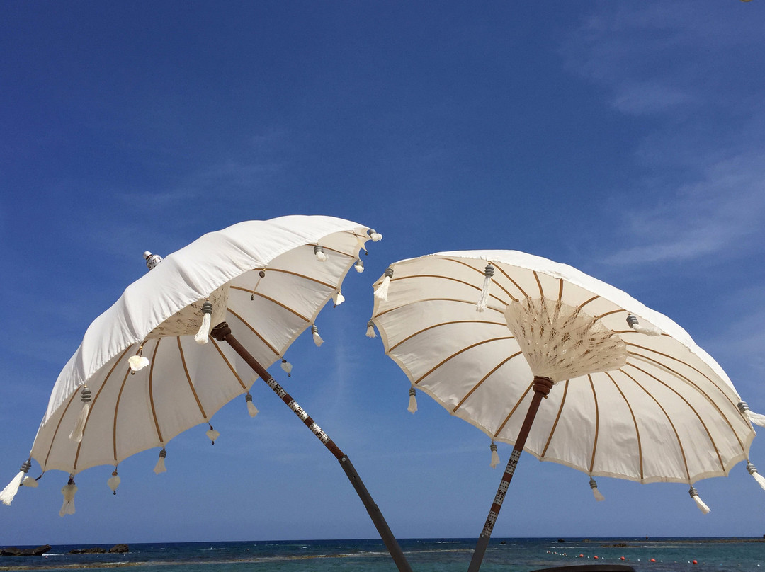 Arkin Palm Beach Hotel主图