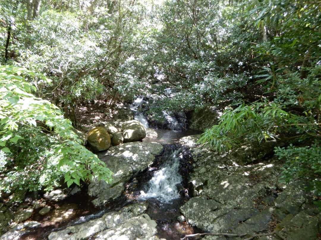 Seibu Trail景点图片