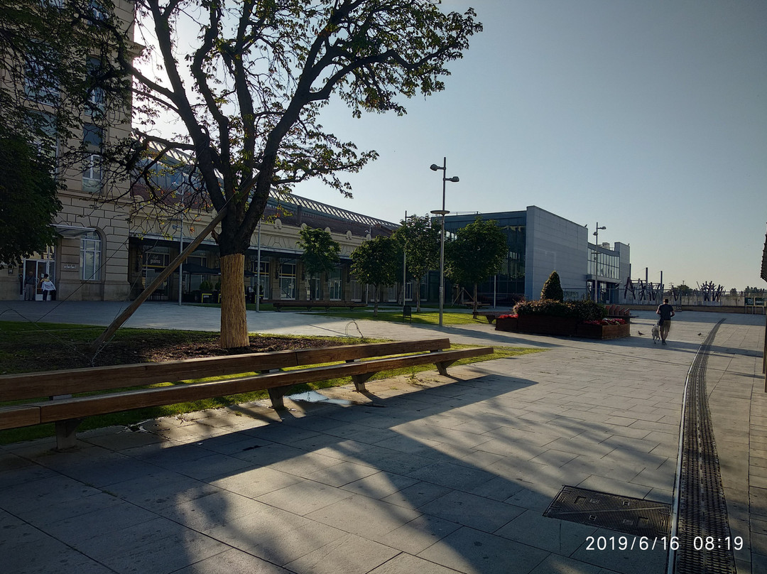 Estacion de Lerida Pirineos景点图片