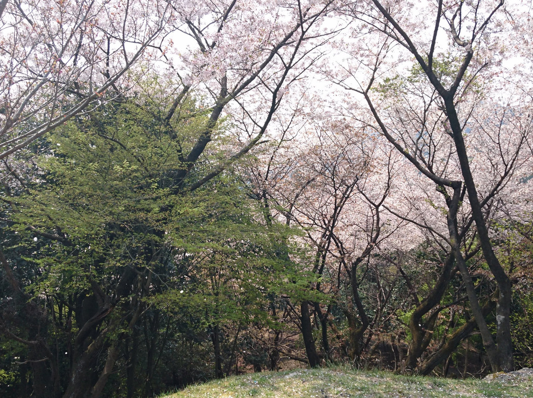 Gotonotaki Waterfall景点图片