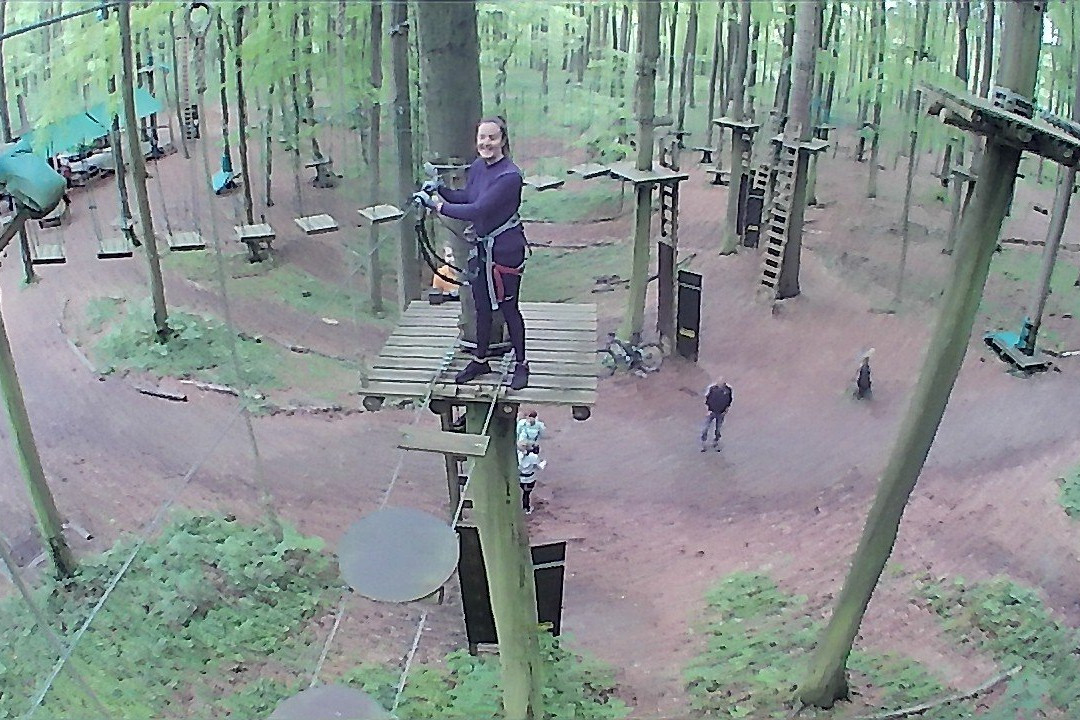 Gorilla Park Vejle景点图片