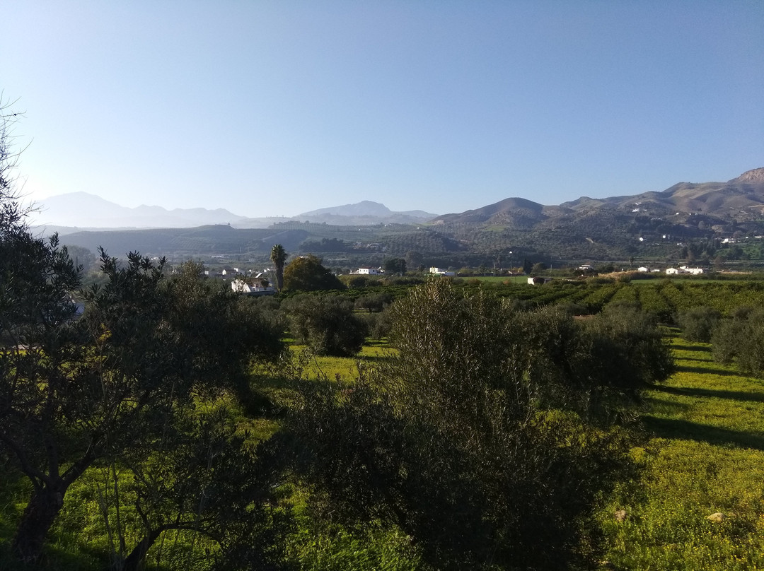 Casa El Naranjo主图