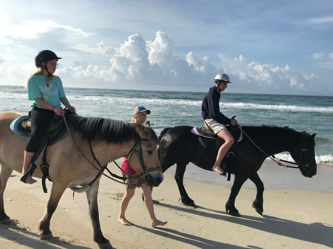 Hatteras Island Horseback Riding景点图片
