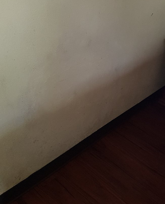 贝斯特韦斯特格里芬酒店主图